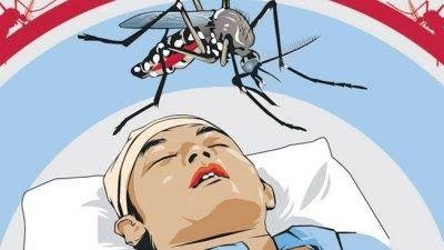 Diskes Riau Klaim Kasus Demam Berdarah Dengue Alami Penurunan