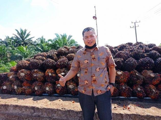 Harga Sawit 1 Pekan Ke Depan di Riau Naik Jadi Rp3.411,31/Kg