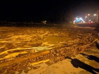 Tumpukan Kayu Sisa Banjir Bandang Hanyut di Sungai Batang Lubuh Rohul