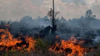 Waspada, 23 Titik Panas Terpantau di Provinsi Riau