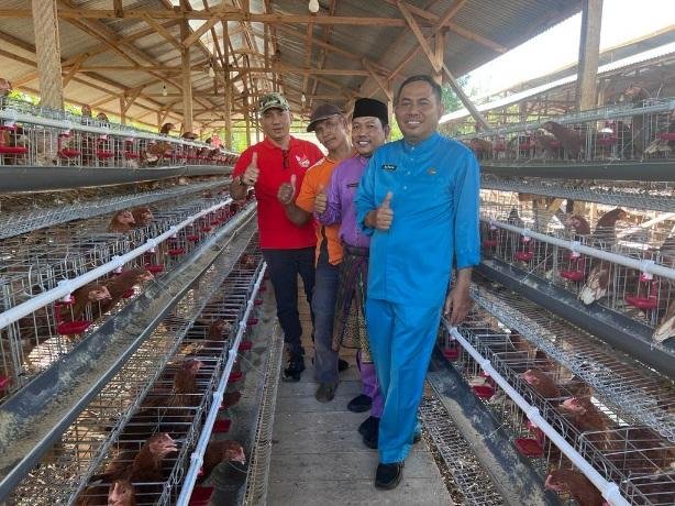 Bupati Adil Optimis Pemenuhan Kebutuhan Telur di Meranti