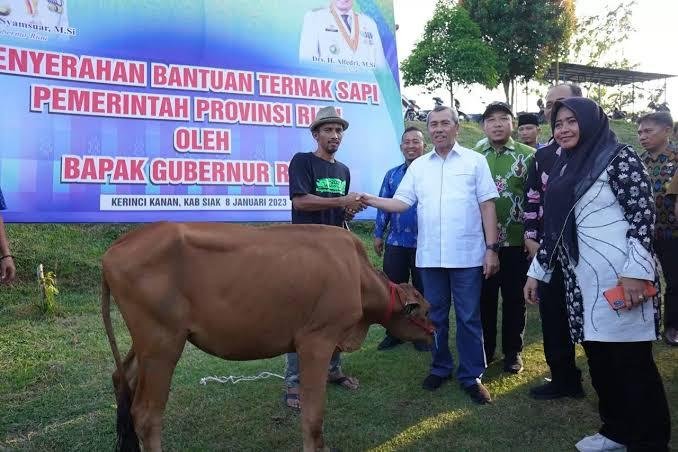 Pemprov Riau Serahkan 1.883 Ekor Sapi untuk 10 Daerah