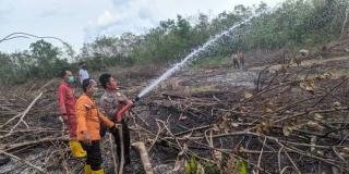 BPBD Riau Nyalakan Alarm Tanda Bahaya, Waspada Karhutla!