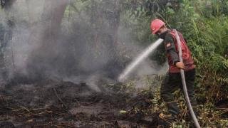 Pemprov Riau Dorong 5 Daerah yang Dilanda Karhutla Segera Tetapkan Status Siaga