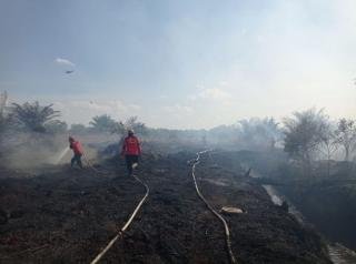 Pekanbaru dan Bengkalis Tetapkan Status Siaga Darurat Karhutla, Selanjutnya Provinsi Riau