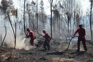 Padamkan Kebakaran Lahan di Bengkalis, BPBD Riau Kirim Tim dan Peralatan