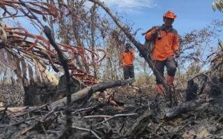 131 Hektare Lahan Terbakar, Karhutla Terluas di Riau Ditemukan di Bengkalis