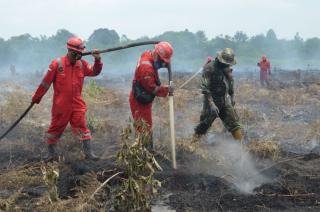 Musim Panas, Warga Dihimbau Tidak Bakar Lahan