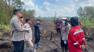 Dua Hektare Lahan Gambut di Pekanbaru Terbakar, Butuh 5 Hari Api Baru Padam