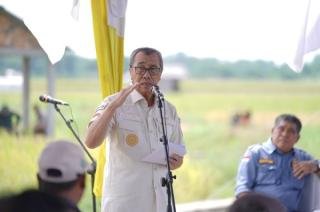 Petani Minta Area Persawahan Dialiri Arus Listrik, Ini Respon Gubernur Riau