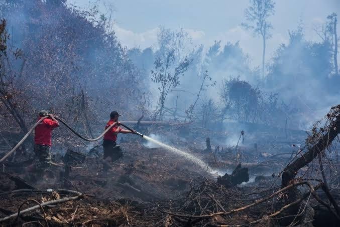 Luas Lahan Terbakar di Riau 990 Ha, Petugas Terus Lakukan Upaya Pemadaman dan Pencegahan