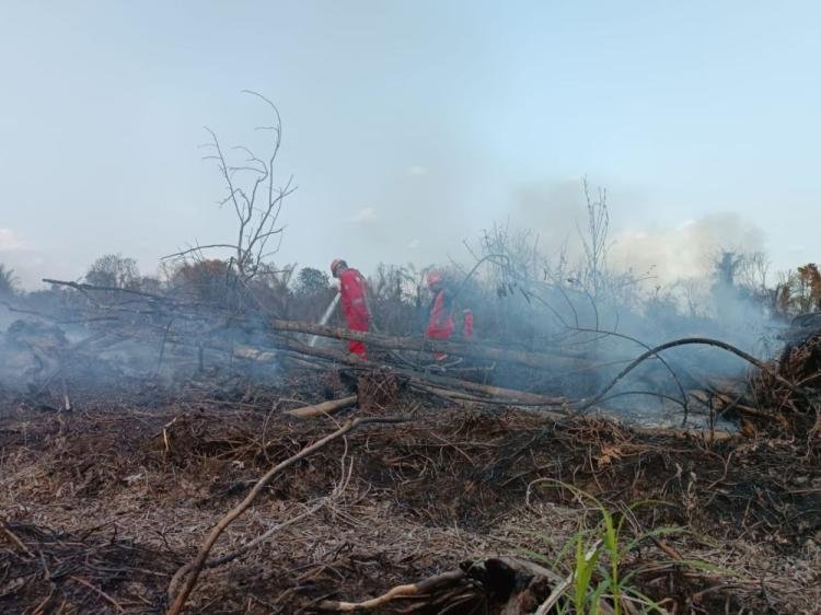 Manggala Agni Padamkan Karhutla di Kampar