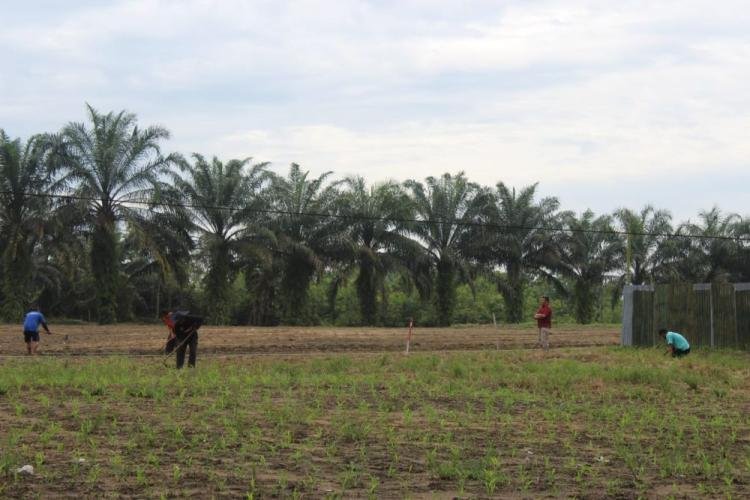 Dukung Ketahanan Pangan Daerah, Pemkab Kampar Lakukan Kerja Sama dengan Lapas 2 A Bangkinang