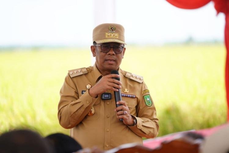 Sumbang 12 Persen Produksi Padi di Riau, Pj Gubri Rahman Hadi Apresiasi Petani Kabupaten Siak