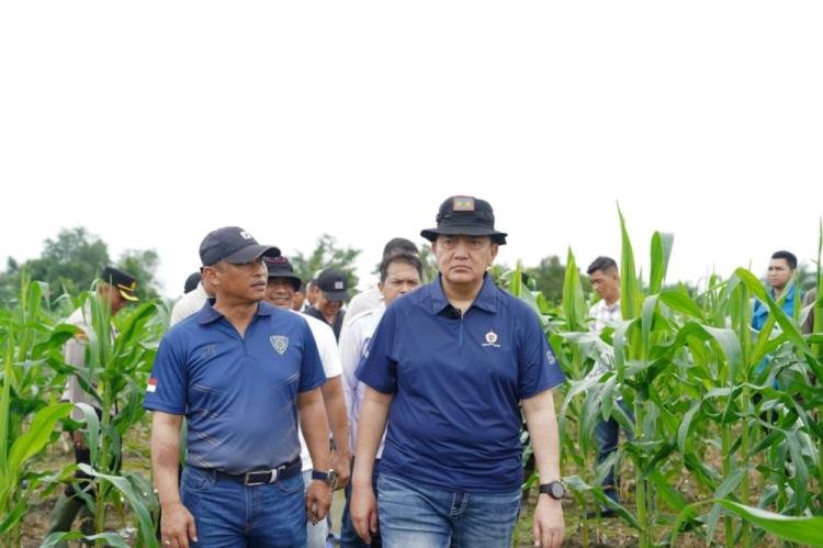 Kapolda Riau Tinjau Lahan Ketahanan Pangan, Dorong Peningkatan Produksi Jagung