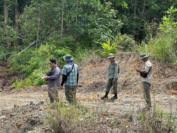 Jual Hutan Lindung 150 Hektare di Inhu, Kades dan Sekdes Ditangkap