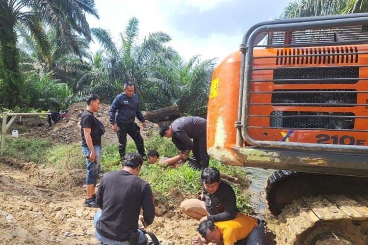 Ketahuan Garap Kawasan Hutan, Operator Alat Berat dan Helper Ditangkap Polisi