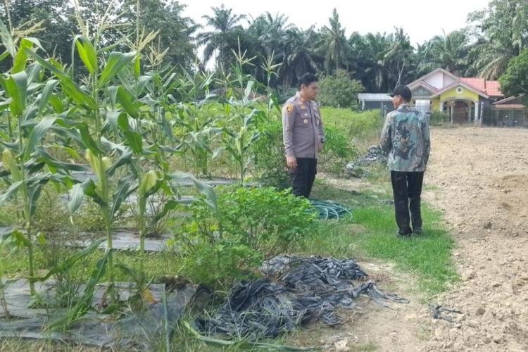 Kapolsek Tapung Hilir Beri Semangat Warga Desa Cinta Damai untuk Program Ketahanan Pangan