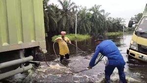 Aksi Sigap Polisi Pelalawan Evakuasi Mobil Boks Terperosok Air Banjir, Sopir Nyaris Tenggelam